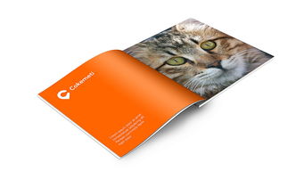 酷客美地企業形象設計 塑造品牌靈魂，引領市場潮流