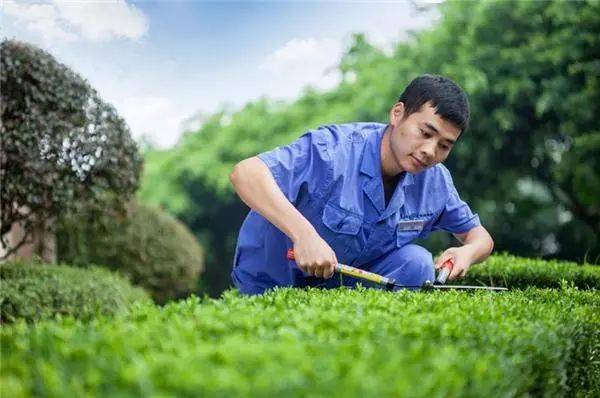 小區(qū)物業(yè)環(huán)境管理服務(wù)規(guī)范清潔衛(wèi)生綠化養(yǎng)護環(huán)境消殺